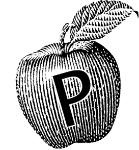 Logo Icon
